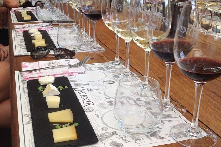 Daily Different small group WINE tour - STELLENBOSCH PICKUP only - Photo 1 of 16
